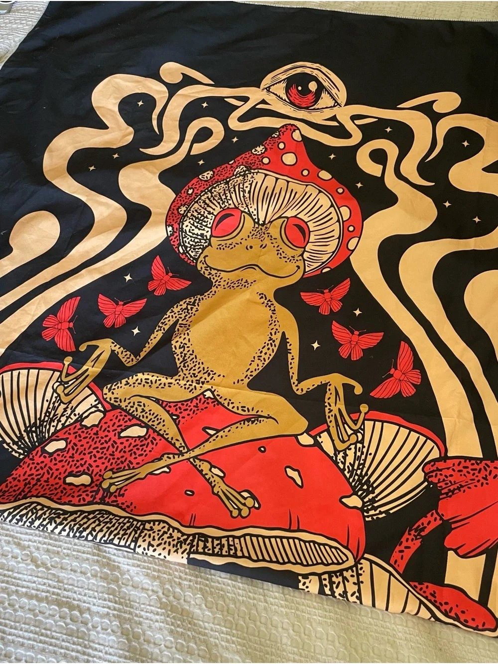 Psychedelic Frog on Red Mushroom Wall Art Tapestry